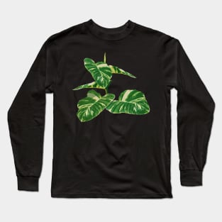 Epipremnum aureum plant Long Sleeve T-Shirt